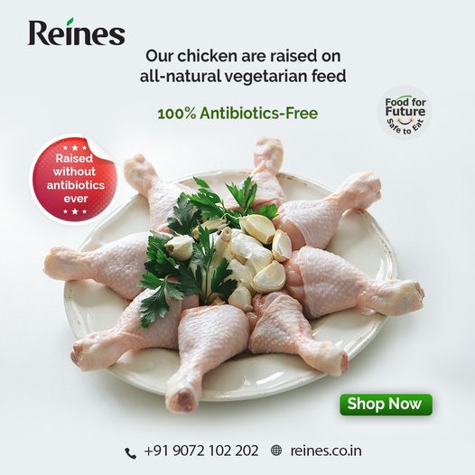 Reines Chicken Raised Without Antibiotics Ever