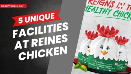 Facilities at Reines Chicken